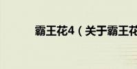 霸王花4(关于霸王花4的简介)