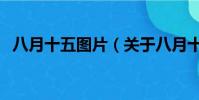 八月十五图片(关于八月十五图片的简介)