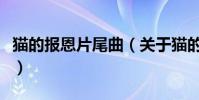 猫的报恩片尾曲(关于猫的报恩片尾曲的简介)