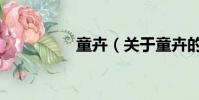 童卉(关于童卉的简介)