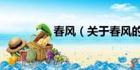 春风(关于春风的简介)