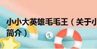 小小大英雄毛毛王(关于小小大英雄毛毛王的简介)