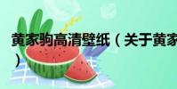 黄家驹高清壁纸(关于黄家驹高清壁纸的简介)