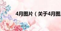 4月图片(关于4月图片的简介)