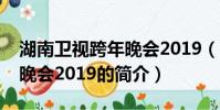 湖南卫视跨年晚会2019(关于湖南卫视跨年晚会2019的简介)
