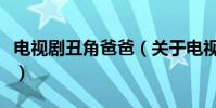 电视剧丑角爸爸(关于电视剧丑角爸爸的简介)