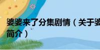 婆婆来了分集剧情(关于婆婆来了分集剧情的简介)