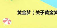 黄金梦(关于黄金梦的简介)