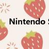   Nintendo Switch Lite是最新的产品系列