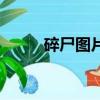 碎尸图片（关于碎尸图片的简介）