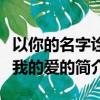 以你的名字诠释我的爱（关于以你的名字诠释我的爱的简介）