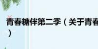 青春糖伴第二季(关于青春糖伴第二季的简介)