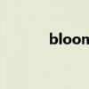 bloom（关于bloom的简介）