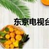 东京电视台（关于东京电视台的简介）