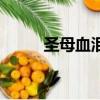 圣母血泪（关于圣母血泪的简介）