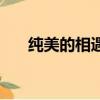 纯美的相遇（关于纯美的相遇的简介）