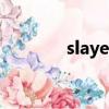 slayer（关于slayer的简介）