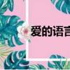 爱的语言（关于爱的语言的简介）