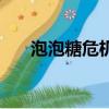 泡泡糖危机（关于泡泡糖危机的简介）
