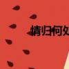 情归何处（关于情归何处的简介）