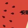 安眠（关于安眠的简介）