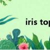 iris top（关于iris top的简介）