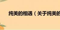 纯美的相遇(关于纯美的相遇的简介)