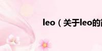 leo(关于leo的简介)