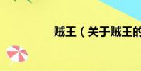 贼王(关于贼王的简介)