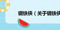 钢铁侠(关于钢铁侠的简介)