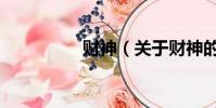财神(关于财神的简介)