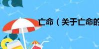 亡命(关于亡命的简介)
