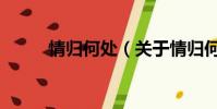 情归何处(关于情归何处的简介)