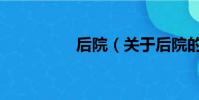 后院(关于后院的简介)