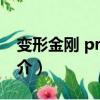 变形金刚 prime（关于变形金刚 prime的简介）