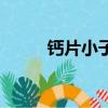 钙片小子（关于钙片小子的简介）
