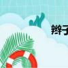 辫子（关于辫子的简介）