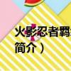 火影忍者羁绊5 5（关于火影忍者羁绊5 5的简介）