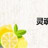 灵魂（关于灵魂的简介）
