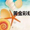 黄金彩虹（关于黄金彩虹的简介）