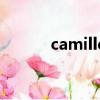 camille（关于camille的简介）