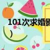 101次求婚影评（关于101次求婚影评的简介）