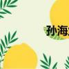 孙海兰（关于孙海兰介绍）