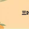 三叶（关于三叶的简介）