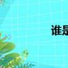 谁是（关于谁是的简介）
