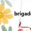 brigade（关于brigade的简介）