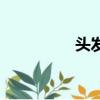 头发（关于头发的简介）