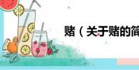 赌(关于赌的简介)