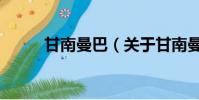 甘南曼巴(关于甘南曼巴的简介)
