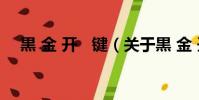 黒 金 开 键(关于黒 金 开 键的简介)